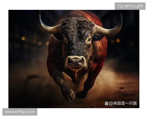 奥萨苏纳战术布局分析:展现魅力与韧性的完美结合