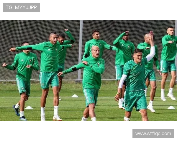 南特战术调整后防守效率提升,近期表现稳健