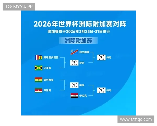 世界杯A组赛事组织工作获好评